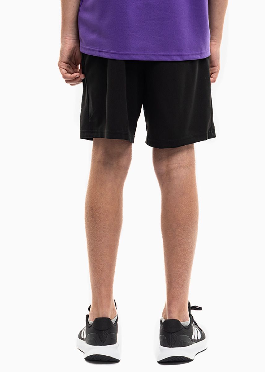 PUMA Kinder Sport-Set T-shirt Kurze Hose teamRISE Jersey Jr 704938 10/704943 04 PUMA Kinder Sport-Set T-shirt Kurze Hose teamRISE Jersey Jr 704938 10/704943 04