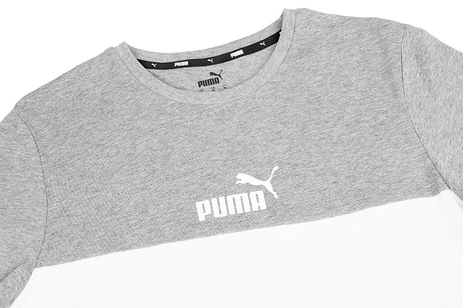 PUMA Herren-T-Shirt ESS+ Colorblock Tee 586908 03