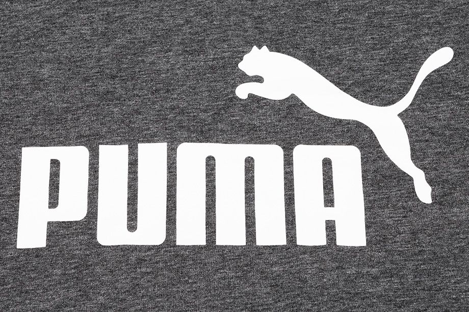 Puma Herren T-Shirt ESS Heather Tee 852419 01