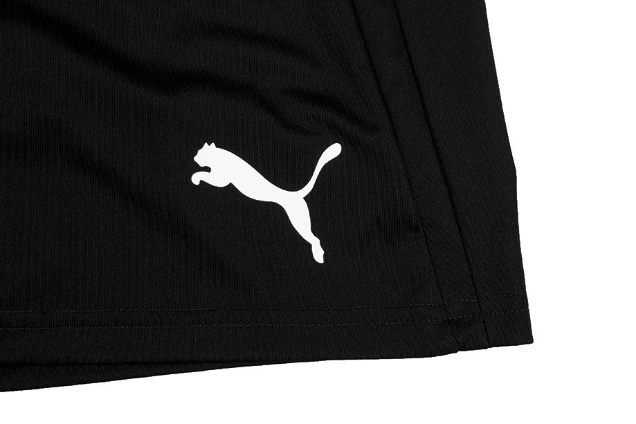 PUMA Sport-Set T-shirt Kurze Hose teamLIGA Jersey 704917 03/704924 03