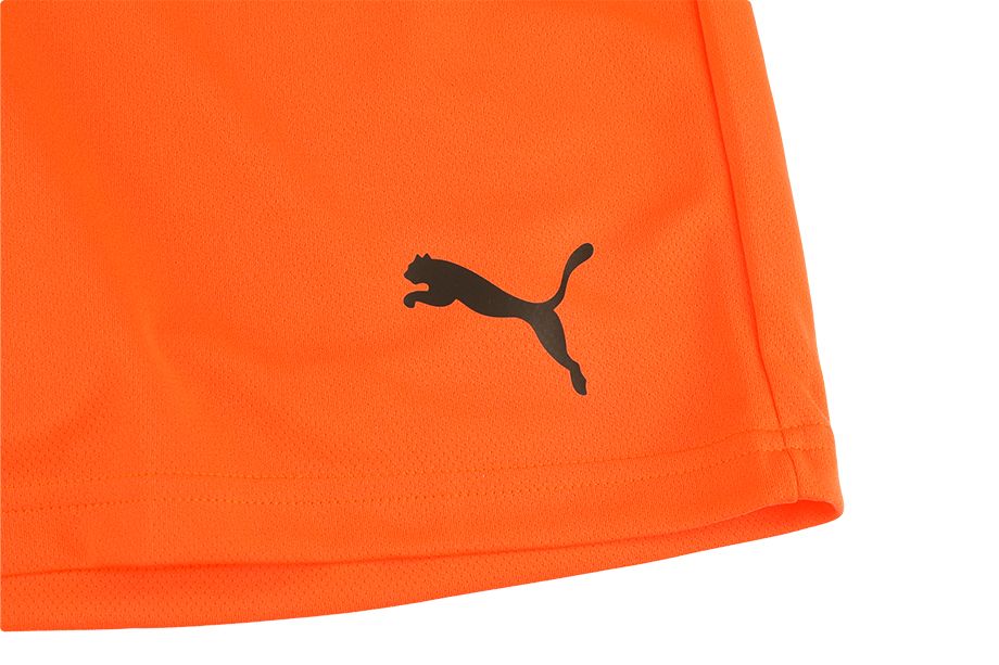 PUMA Sport-Set T-shirt Kurze Hose teamRISE Jersey 704932 08/704942 08