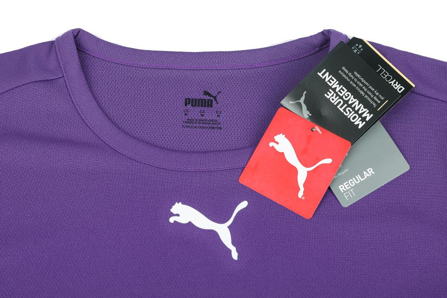 PUMA Sport-Set T-shirt Kurze Hose teamRISE Jersey 704932 10/704942 04