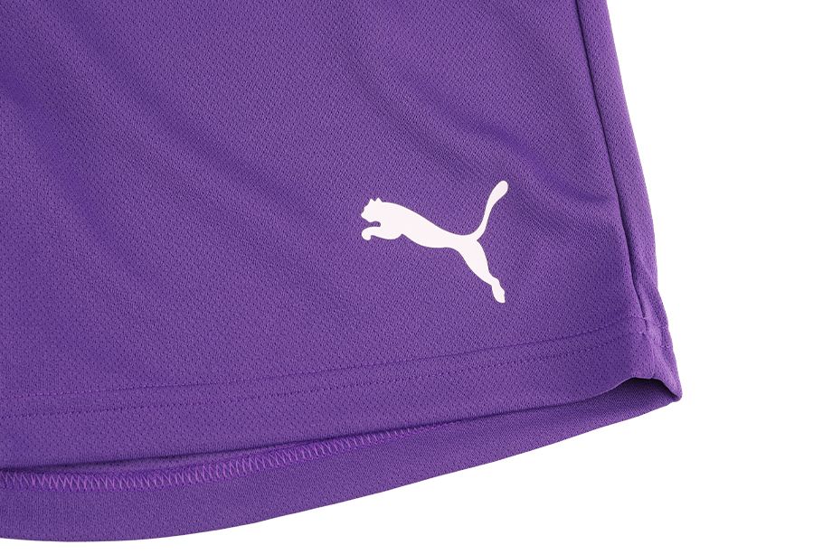 PUMA Sport-Set T-shirt Kurze Hose teamRISE Jersey 704932 10/704942 10