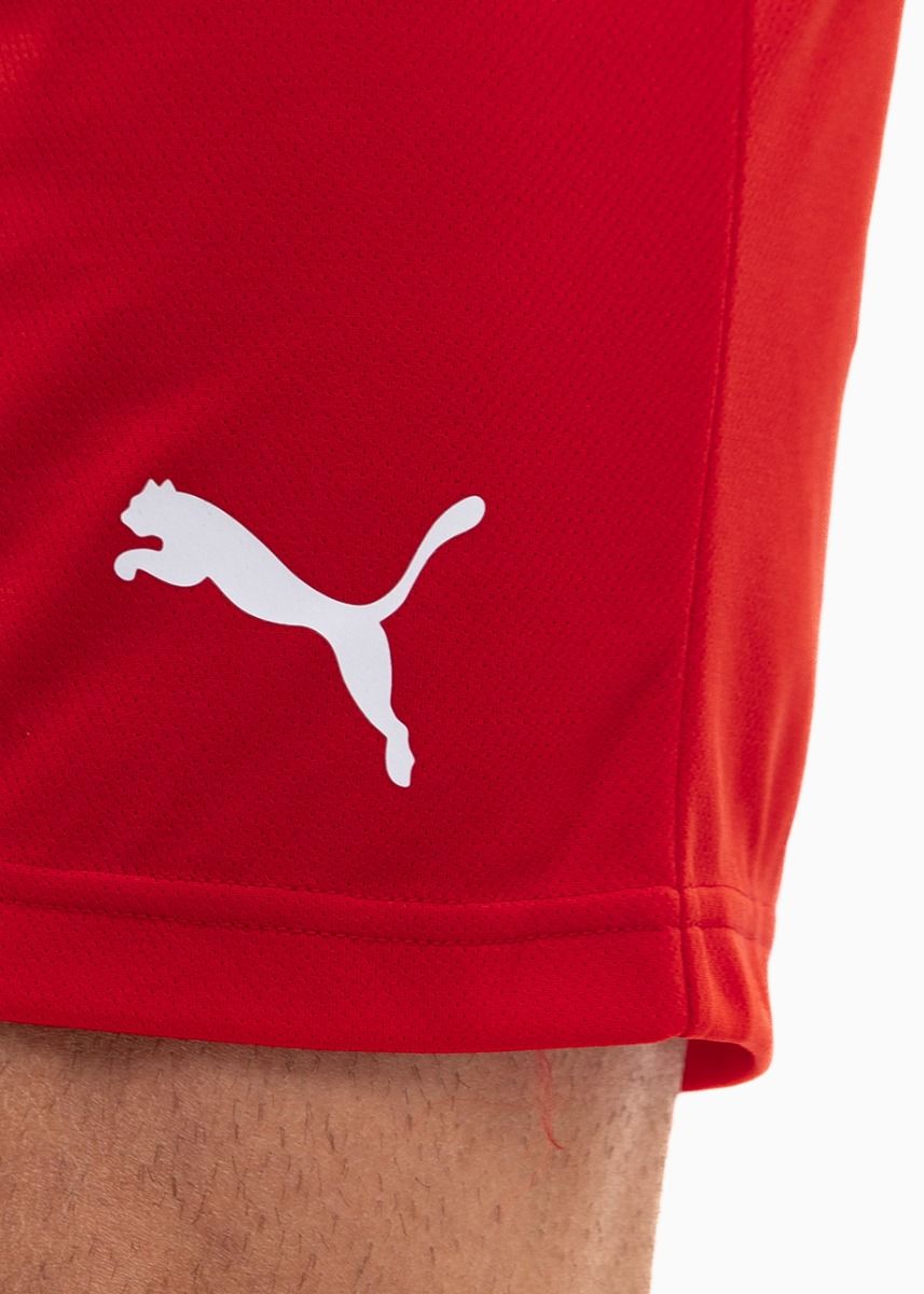 PUMA Sport-Set T-shirt Kurze Hose teamRISE Jersey 704932 01/704942 01 PUMA Sport-Set T-shirt Kurze Hose teamRISE Jersey 704932 01/704942 01