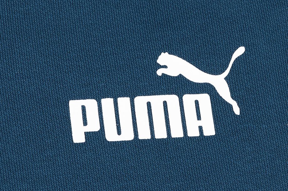 Puma Herrenhosen ESS Logo Pants FL cl 853410 38