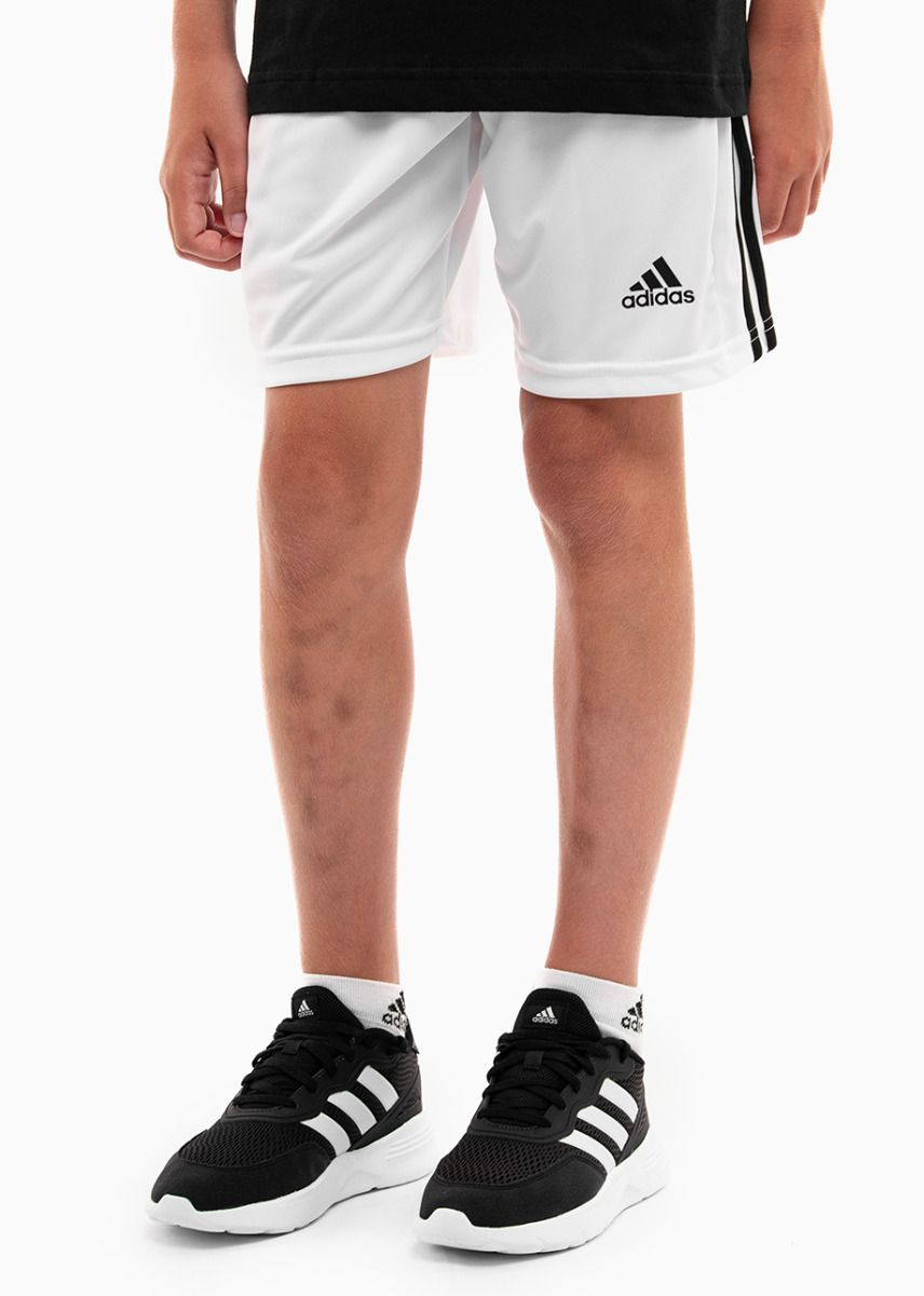 adidas Kindershorts Squadra 21 Short Youth GN5766