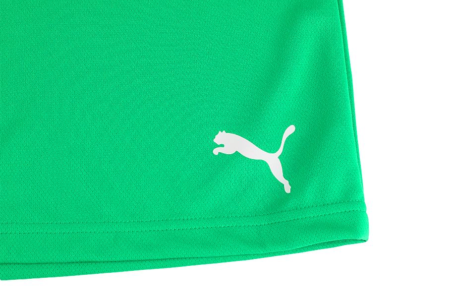PUMA Kinder Kurze Hose teamRISE Short Jr 704943 05 PUMA Kinder Kurze Hose teamRISE Short Jr 704943 05