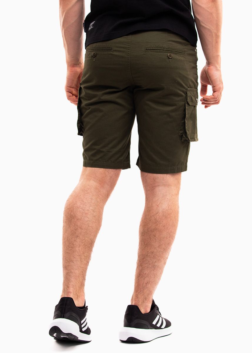 Alpinus Herren-Shorts Hekla SI18154