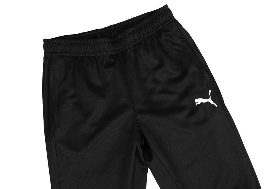 PUMA Herrenhose Team Goal Training 658639 03 PUMA Herrenhose Team Goal Training 658639 03