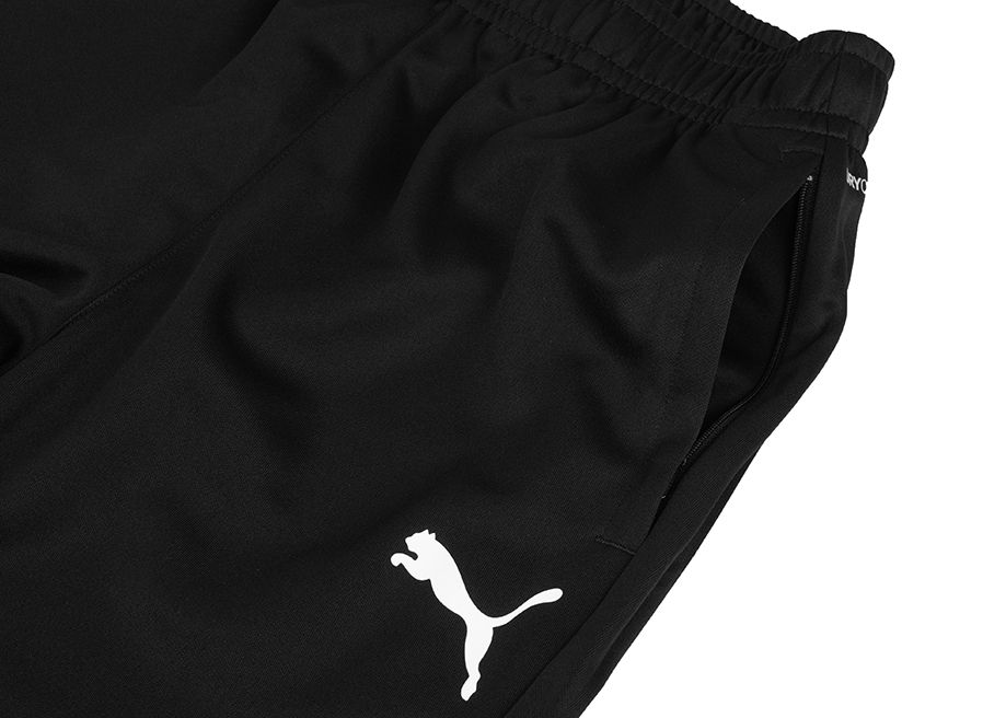 PUMA Herrenhose Team Goal Training 658639 03 PUMA Herrenhose Team Goal Training 658639 03