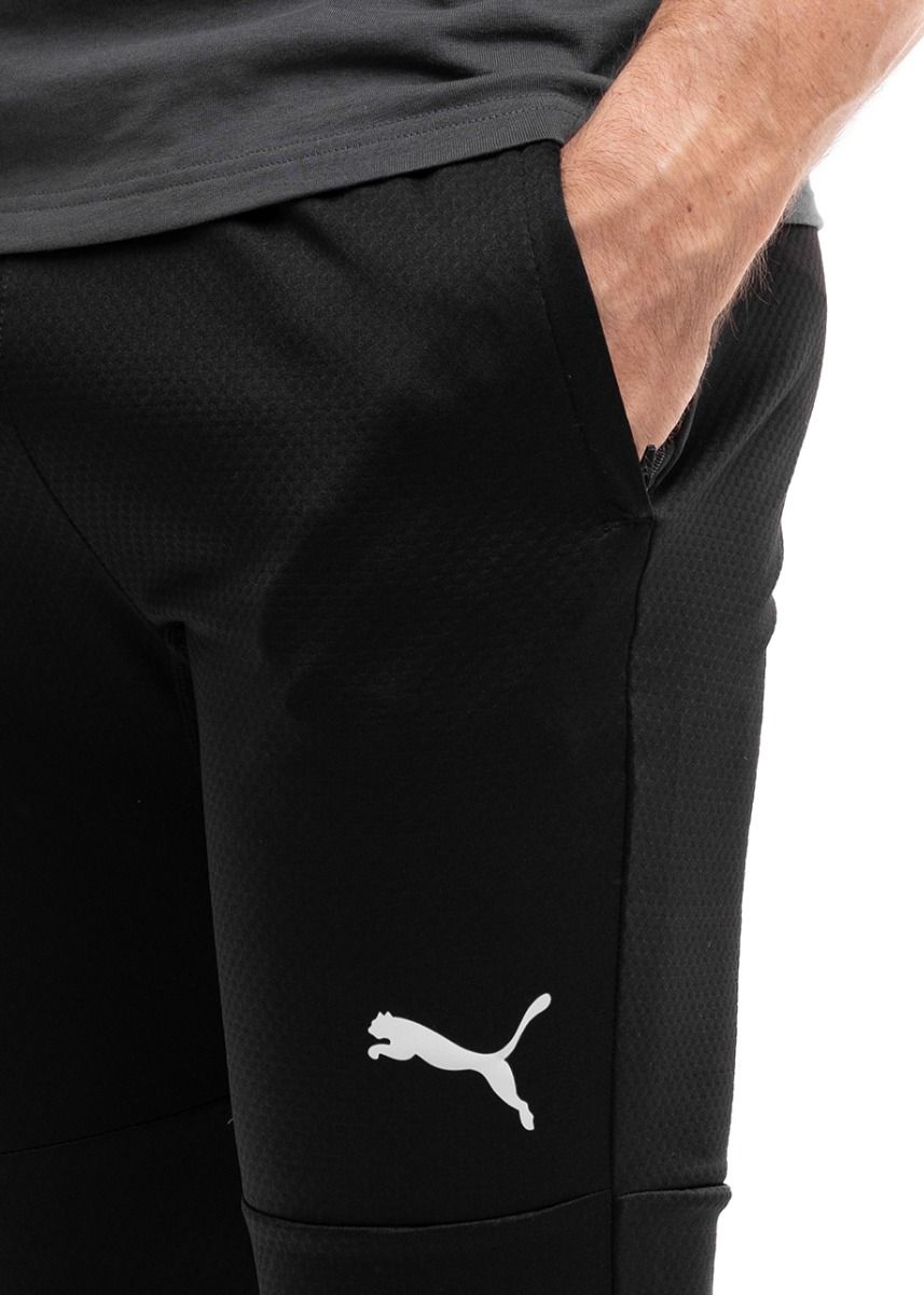 PUMA Herrenhose teamFINAL Training 657380 03