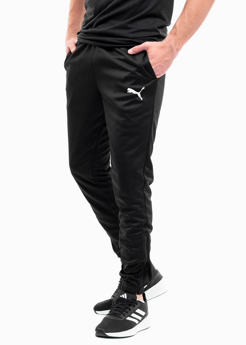 PUMA Herren Hose teamRISE Poly Training 657390 03