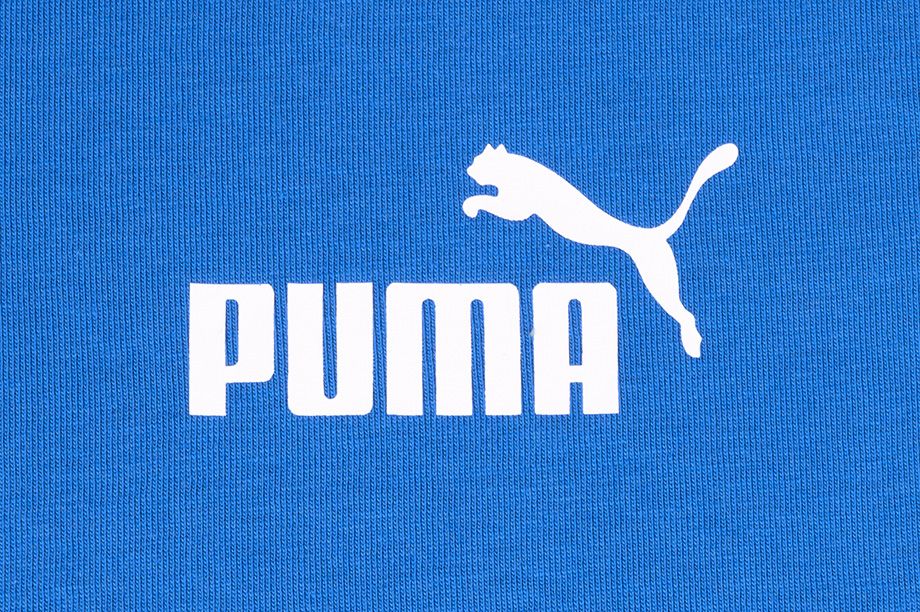 Puma Herren T-Shirt Amplified Tee 585778 13