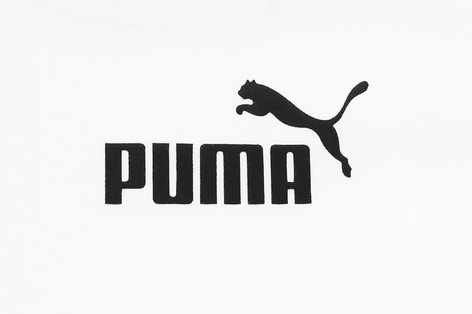 Puma Herren T-Shirt Amplified Tee 585778 02