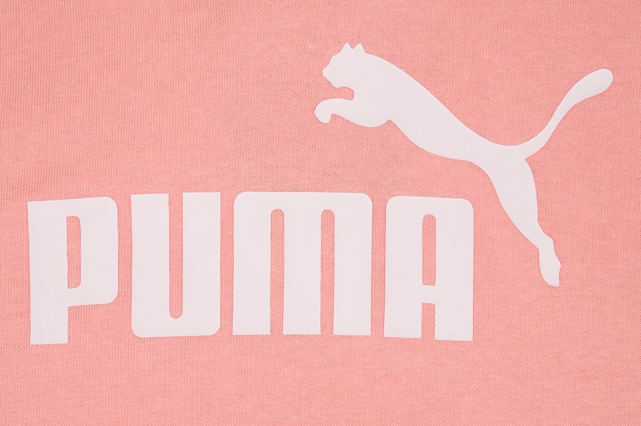 PUMA Damen Kapuzenpullover Amplified Hoodie TR 585910 26