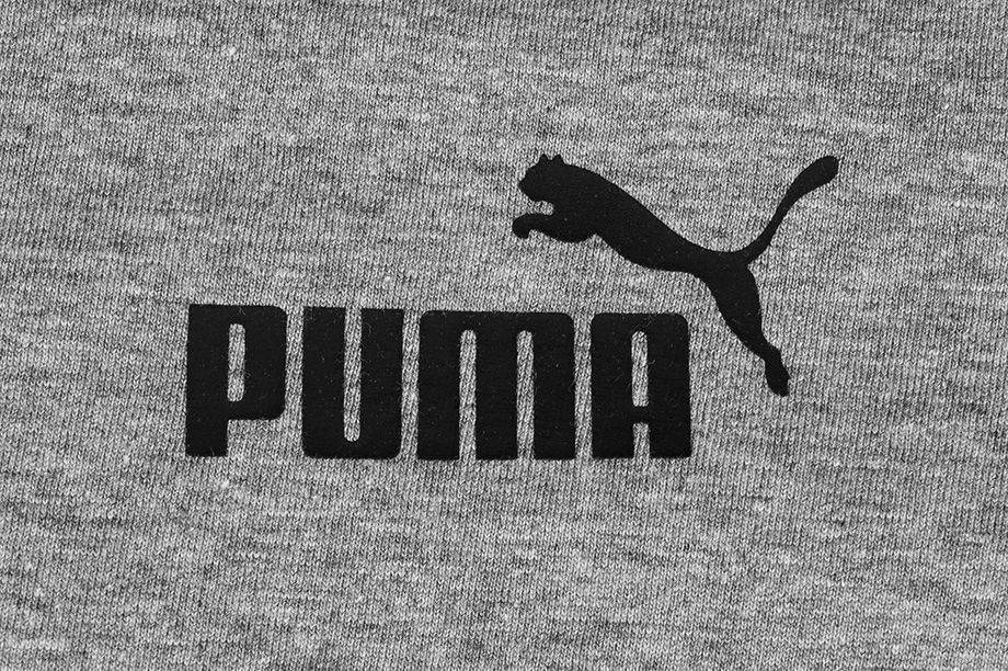Puma Herren T-Shirt Amplified Tee 585778 03