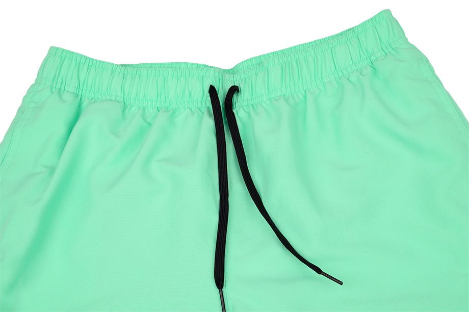 Nike Shorts Herren Logo Lap NESSA566 315