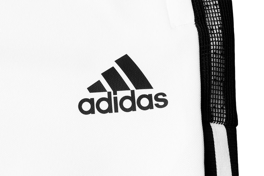 adidas Herren Hose Tiro 21 Trackpant GN5489
