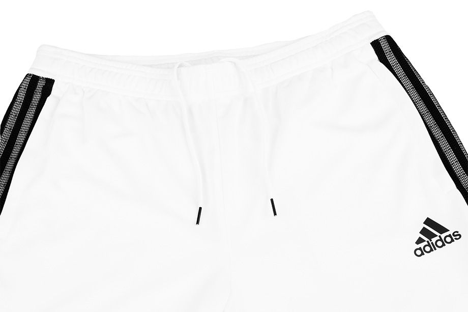 adidas Herren Hose Tiro 21 Trackpant GN5489