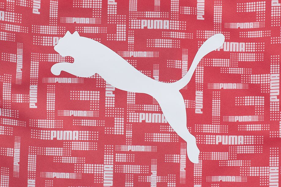 PUMA Schuhbeutel Beta Gym Sack 79510 04
