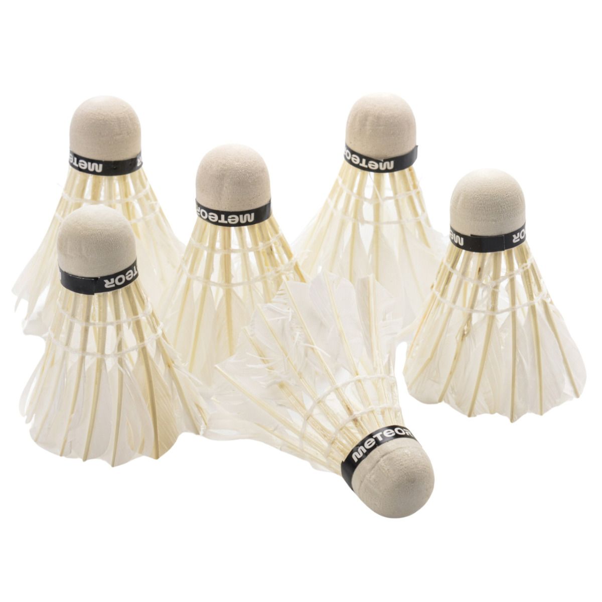 Meteor Badminton Set 16838