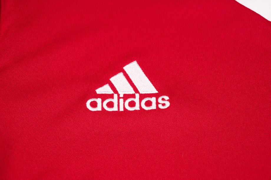 adidas T-Shirt-Satz der Männer Entrada 22 Jersey HE1573/H61736/HC5071