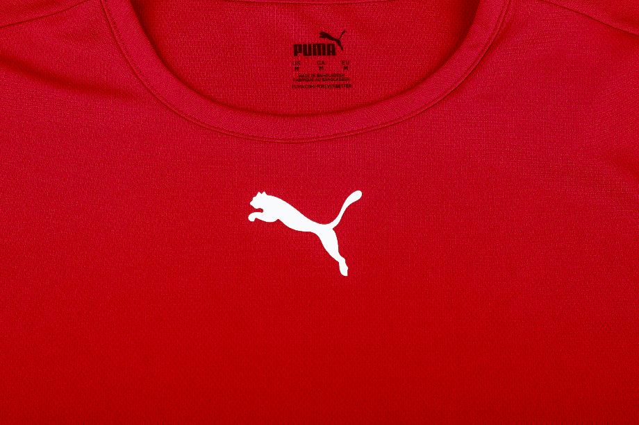 PUMA T-Shirt-Satz der Männer teamRISE Jersey 704932 01/06/03