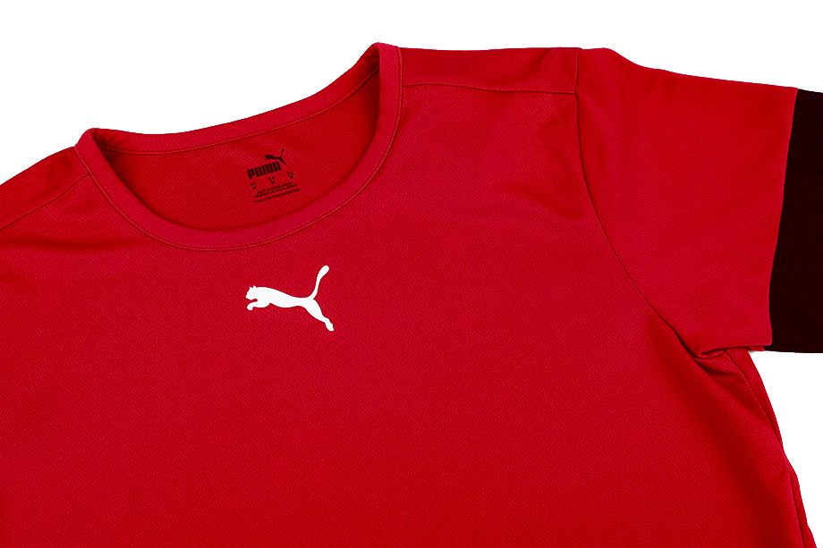 PUMA T-Shirt-Satz der Männer teamRISE Jersey 704932 01/06/03