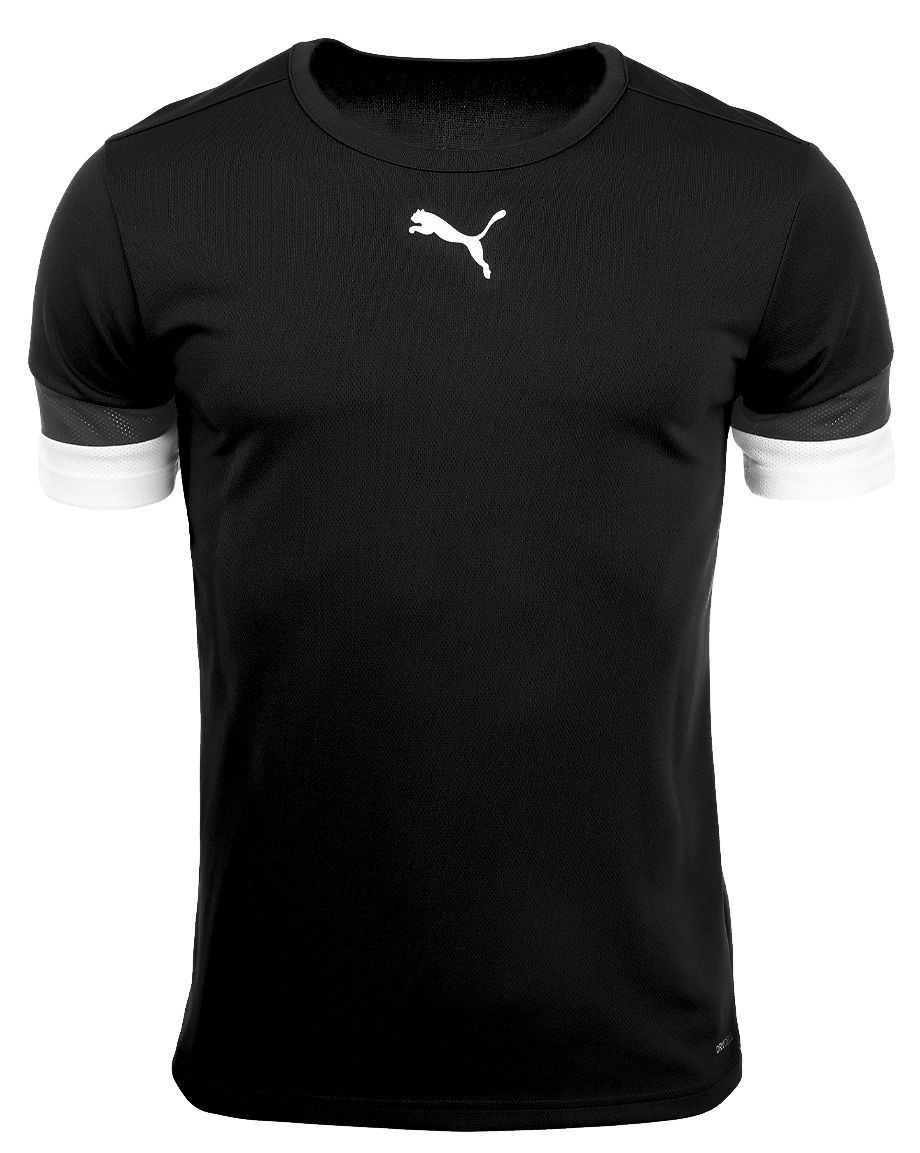 PUMA T-Shirt-Satz der Männer teamRISE Jersey 704932 01/06/03