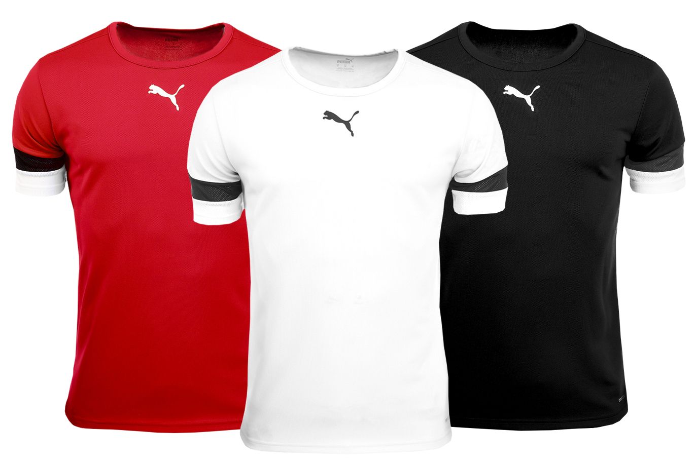 PUMA T-Shirt-Satz der Männer teamRISE Jersey 704932 04/01/03