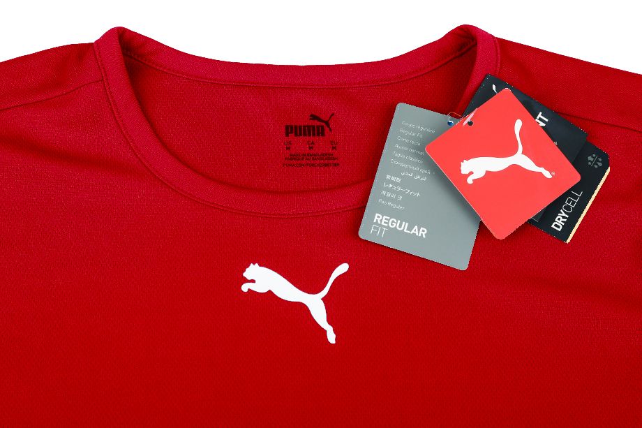 PUMA T-Shirt-Satz der Männer teamRISE Jersey 704932 04/01/03