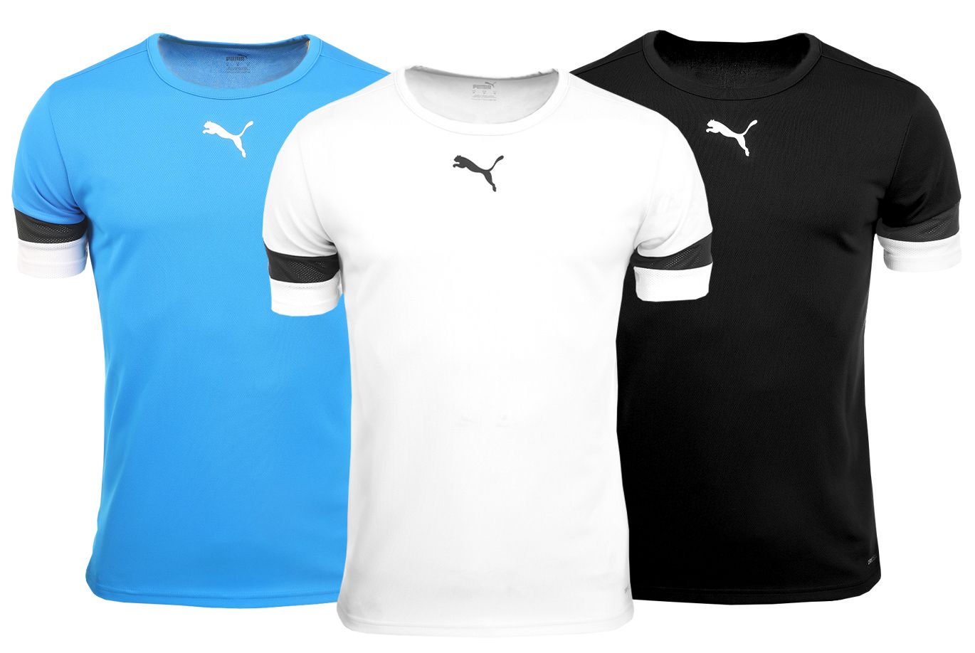 PUMA T-Shirt-Satz der Männer teamRISE Jersey 704932 04/02/03