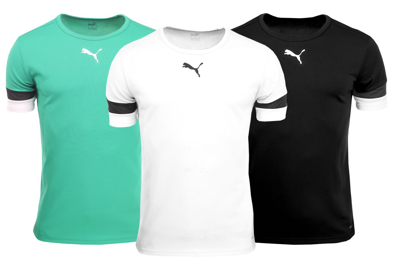 PUMA T-Shirt-Satz der Männer teamRISE Jersey 704932 04/05/03