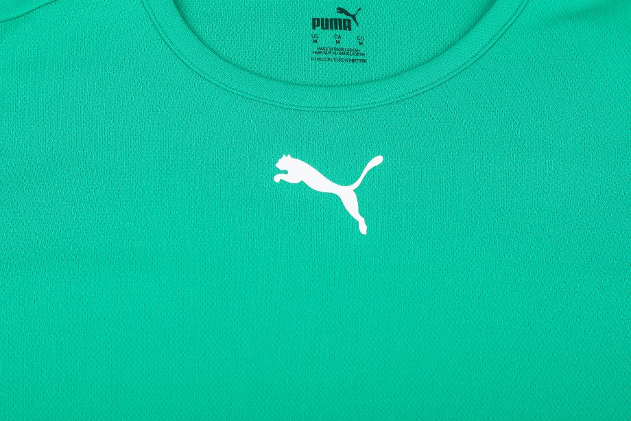 PUMA T-Shirt-Satz der Männer teamRISE Jersey 704932 04/05/03