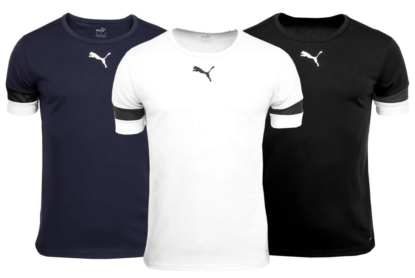 PUMA T-Shirt-Satz der Männer teamRISE Jersey 704932 04/06/03