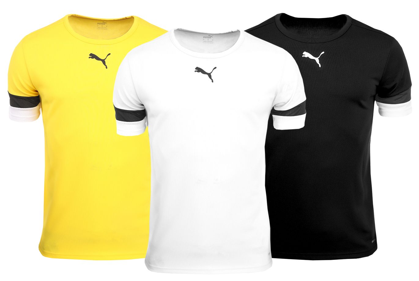 PUMA T-Shirt-Satz der Männer teamRISE Jersey 704932 04/07/03