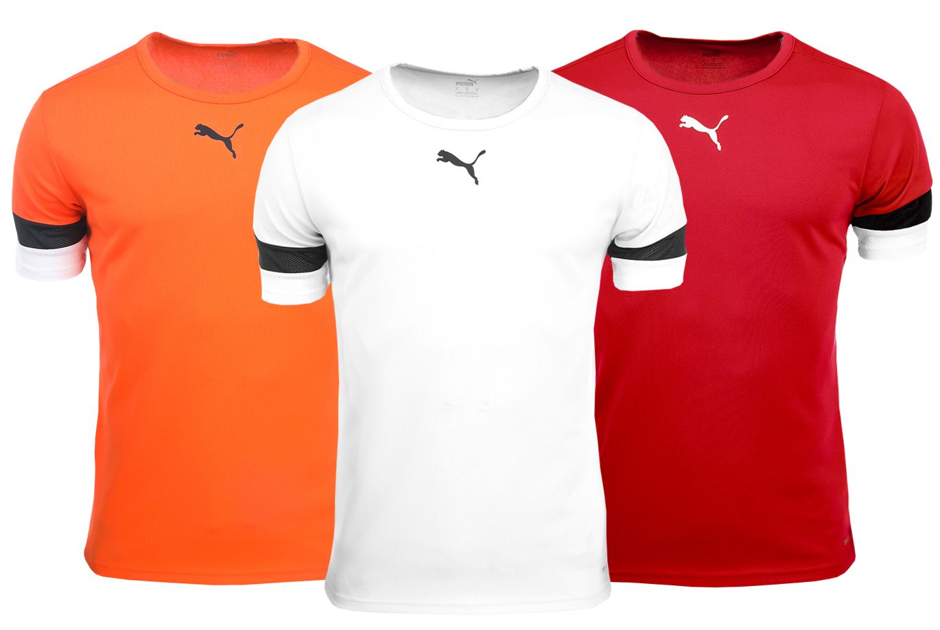 PUMA T-Shirt-Satz der Männer teamRISE Jersey 704932 04/08/01