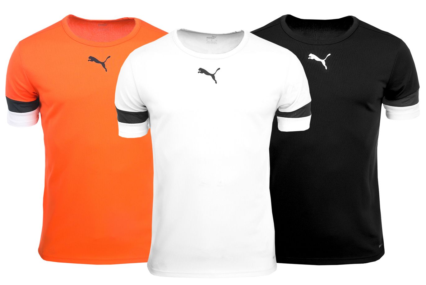 PUMA T-Shirt-Satz der Männer teamRISE Jersey 704932 04/08/03