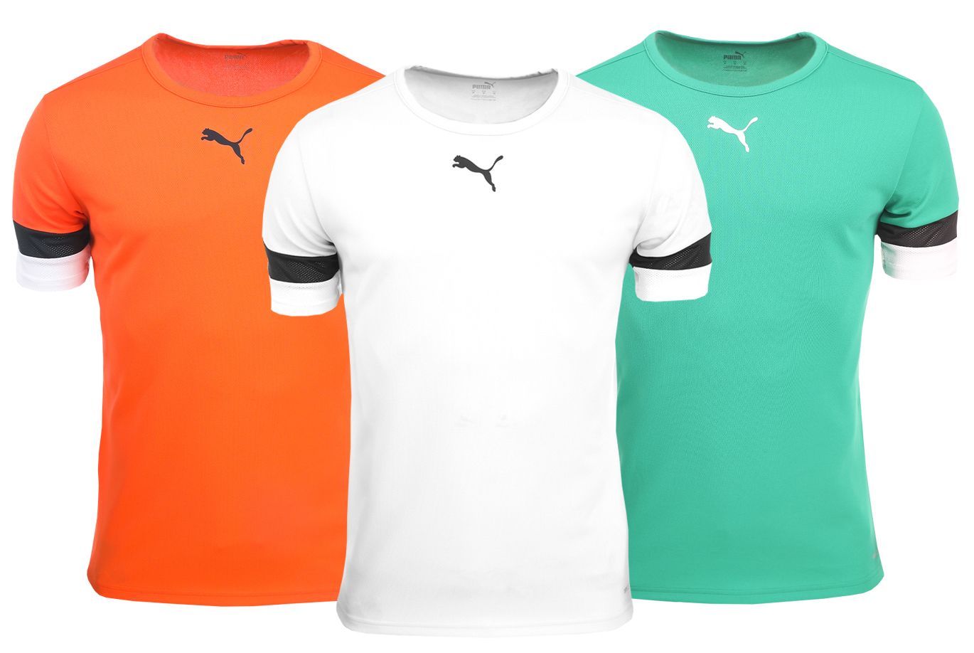 PUMA T-Shirt-Satz der Männer teamRISE Jersey 704932 04/08/05