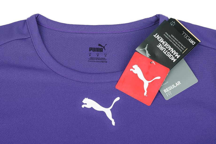 PUMA T-Shirt-Satz der Männer teamRISE Jersey 704932 04/10/03