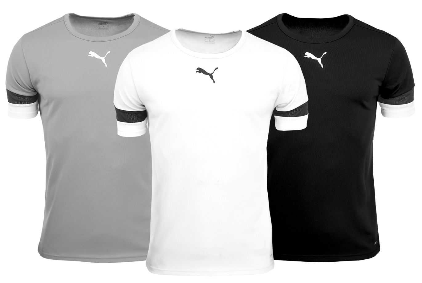 PUMA T-Shirt-Satz der Männer teamRISE Jersey 704932 04/13/03