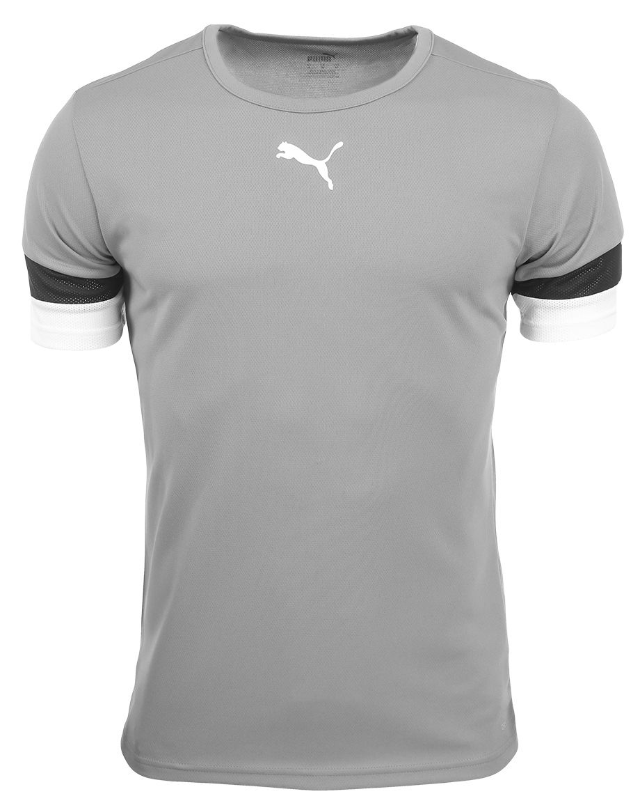 PUMA T-Shirt-Satz der Männer teamRISE Jersey 704932 04/13/03