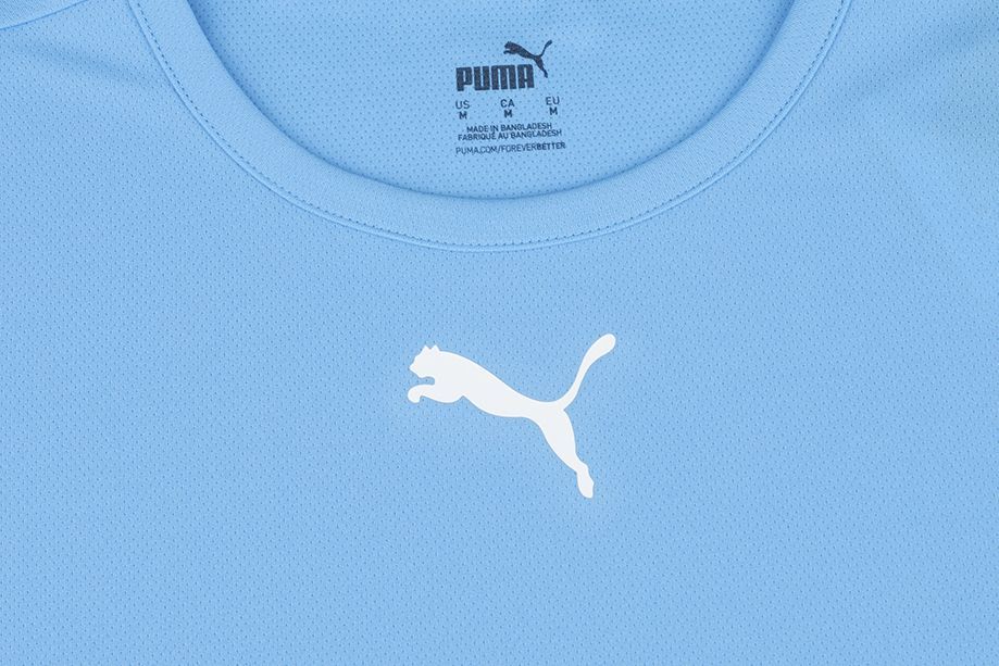 PUMA T-Shirt-Satz der Männer teamRISE Jersey 704932 04/18/03