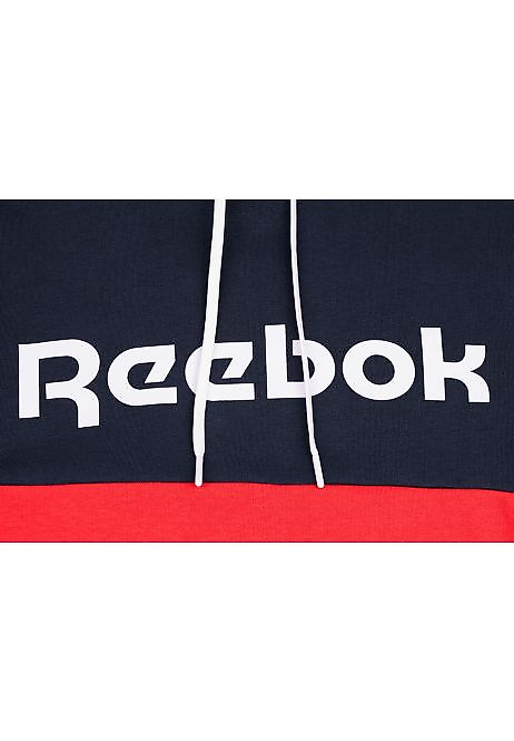 Reebok Herren Kapuzenpullover TE Linear Logo OTH Hoodie FU3114