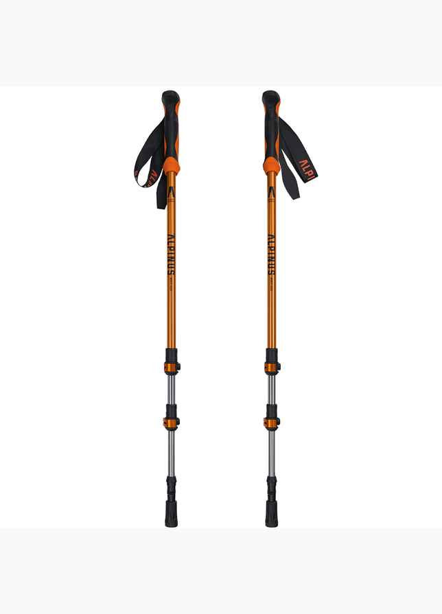 Alpinus Nordic-Walking-Stöcke Monte Rosa NX43599 Alpinus Nordic-Walking-Stöcke Monte Rosa NX43599