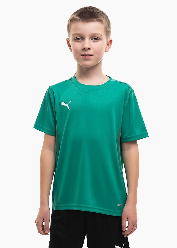 Kinder Trikot Puma TeamGoal Jersey 658637 05