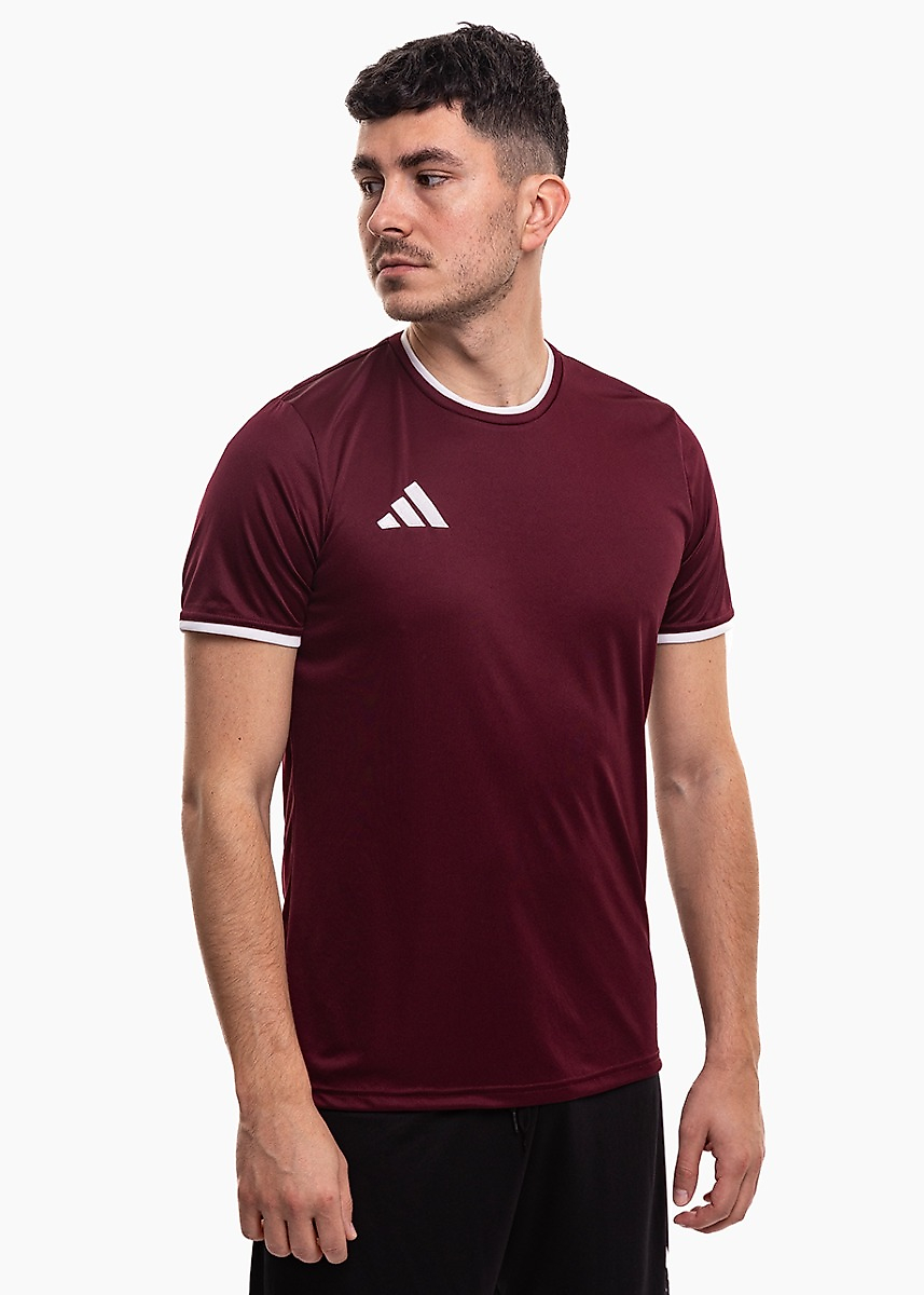 adidas Herren Trikot Entrada 26 Jersey JZ2507
