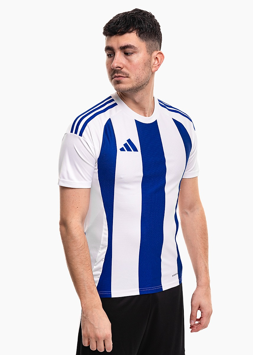 Herren Trikot adidas Striped 24 Jersey IW2144