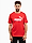 Bild von PUMA Koszulka męska Ess No.1 Logo Tee 682532 11 Produktvariante