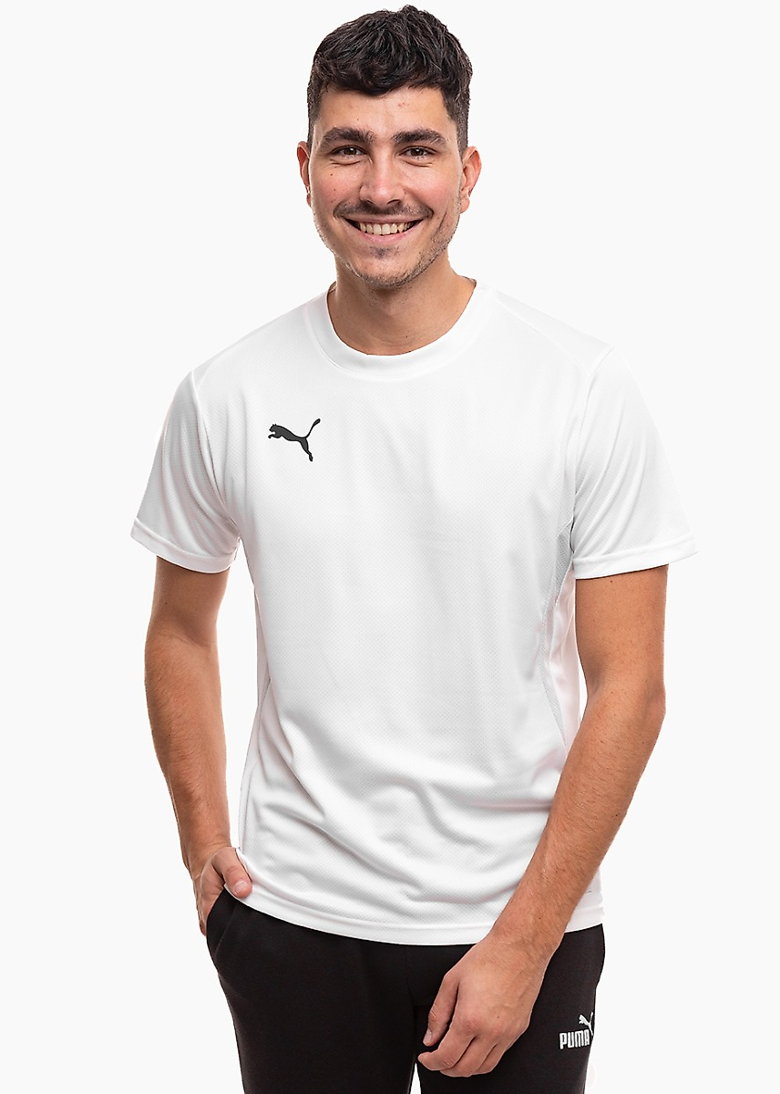 Herren T-Shirt Puma TeamGoal Jersey 658636 04